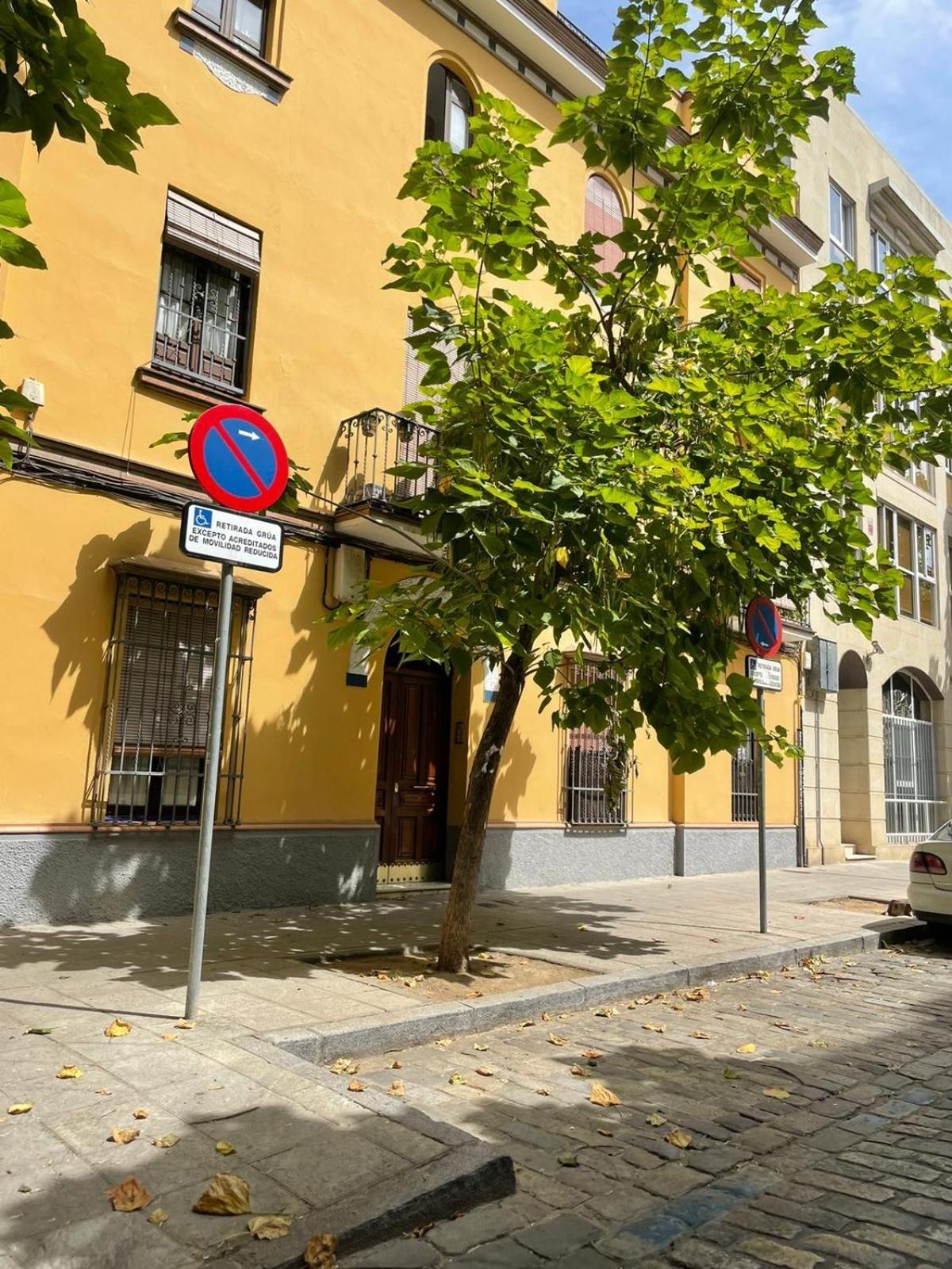 Apartamento Entero En Los Jardines De Murillo Seville Ngoại thất bức ảnh